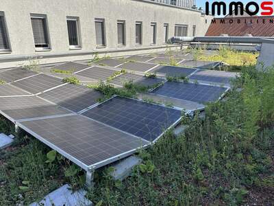 Gewerbeobjekt mieten in 4020 Linz (Bild 5)