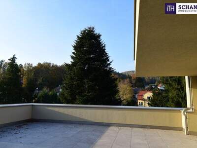 Terrassenwohnung kaufen in 8044 Graz (Bild 5)