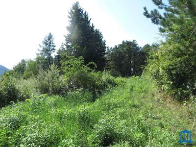 Grundstück kaufen in 2724 Maiersdorf