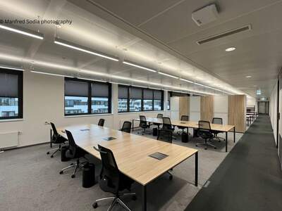 Gewerbeobjekt mieten in 1020 Wien (Bild 5)