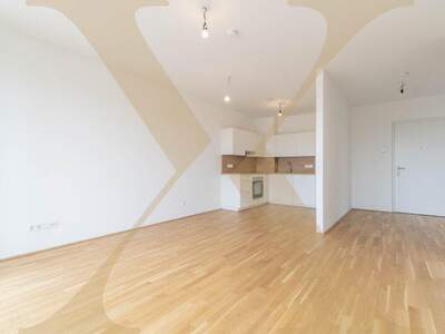 Terrassenwohnung mieten in 4020 Linz (Bild 1)