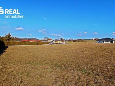 Grundstück kaufen in 7431 Bad Tatzmannsdorf (Bild 2)