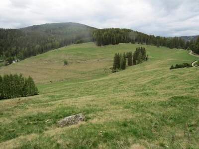 Grundstück kaufen in 8733 Feistritz
