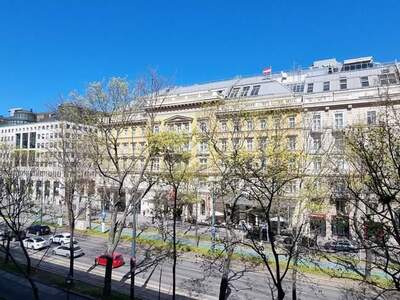 Gewerbeobjekt mieten in 1010 Wien