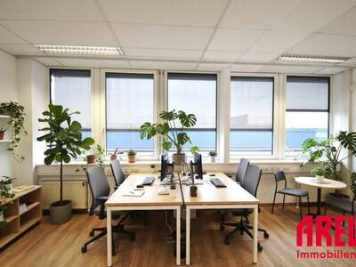 Gewerbeobjekt mieten in 4060 Leonding