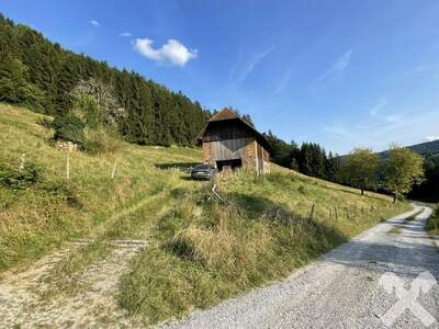 Gewerbeobjekt kaufen in 8152 Geistthal