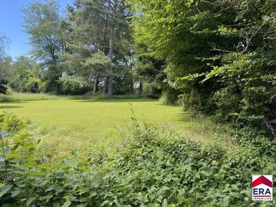 Grundstück kaufen in 3413 Hintersdorf (Bild 2)