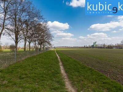 Grundstück kaufen in 1210 Wien