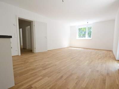 Terrassenwohnung mieten in 8020 Graz (Bild 1)