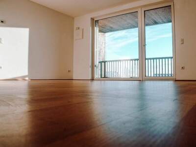 Mietwohnung provisionsfrei in 4040 Neulichtenberg