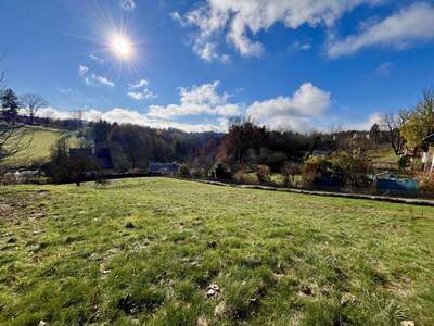 Grundstück kaufen in 8301 Laßnitzhöhe (Bild 3)