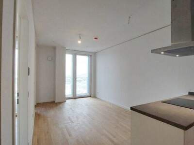 Terrassenwohnung mieten in 1220 Wien (Bild 2)