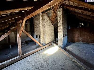 Anlageobjekt kaufen in 1100 Wien (Bild 4)