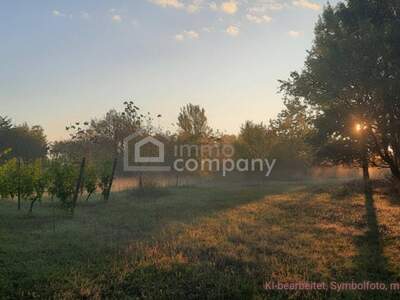 Gewerbeobjekt kaufen in 7142 Illmitz