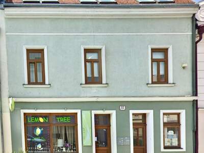 Gewerbeobjekt mieten in 2700 Wiener Neustadt (Bild 2)