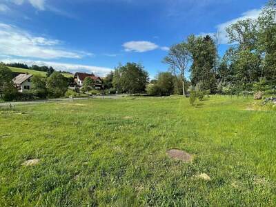 Grundstück provisionsfrei kaufen in 8424 Neudorf