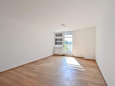 Gewerbeobjekt mieten in 1230 Wien (Bild 3)