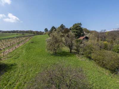 Grundstück kaufen in 3400 Klosterneuburg (Bild 4)