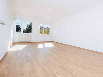 Altbauwohnung mit Balkon kaufen in 8020 Graz (Bild 1)