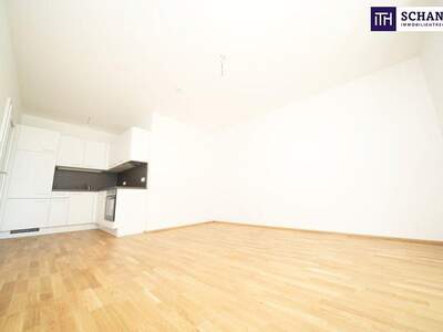 Terrassenwohnung kaufen in 8401 Kalsdorf (Bild 2)