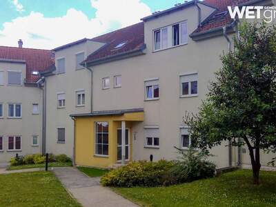 Wohnung mieten in 2020 Hollabrunn