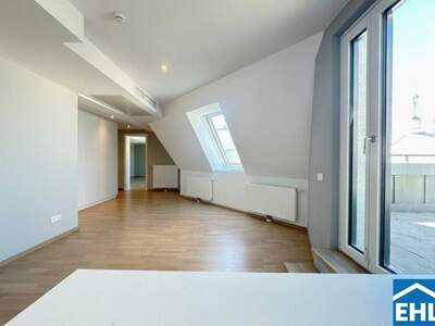 Terrassenwohnung mieten in 1010 Wien (Bild 5)