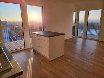 Terrassenwohnung mieten in 1220 Wien (Bild 4)