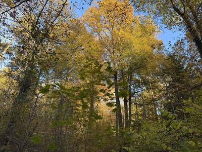 Gewerbeobjekt kaufen in 8042 Graz