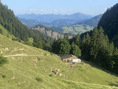 Gewerbeobjekt kaufen in 6346 Niederndorferberg (Bild 3)
