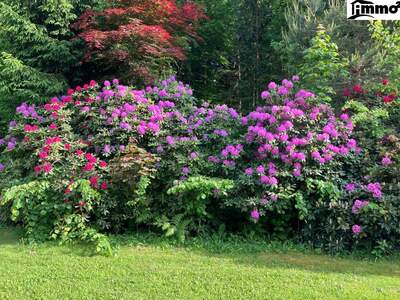 Haus kaufen in 9122 St. Kanzian (Bild 3)