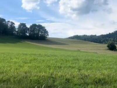 Grundstück kaufen in 9064 Magdalensberg