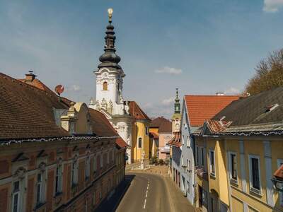 Anlageobjekt kaufen in 8461 Ehrenhausen (Bild 5)