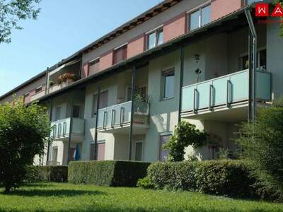 Wohnung mieten in 8753 Fohnsdorf (Bild 1)