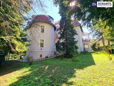 Wohnung kaufen in 1130 Wien (Bild 5)