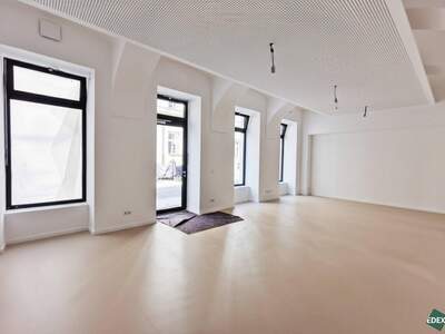 Gewerbeobjekt mieten in 1060 Wien