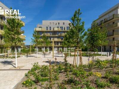 Terrassenwohnung kaufen in 1210 Wien (Bild 1)