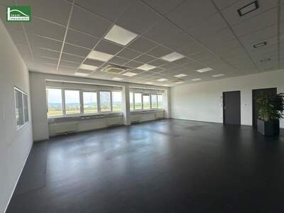 Gewerbeobjekt mieten in 2326 Lanzendorf