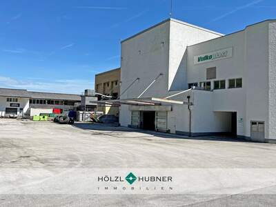 Halle / Lager / Produktion mieten in 5400 Hallein