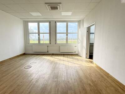 Gewerbeobjekt mieten in 2320 Schwechat