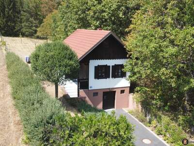 Haus kaufen in 7522 Strem
