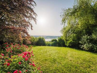 Einfamilienhaus kaufen in 5163 Mattsee (Bild 3)