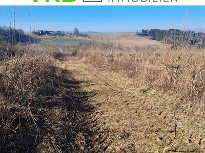 Land- und Forstwirtschaft kaufen in 4942 Wippenham