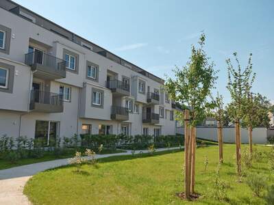 Wohnung mieten in 4600 Wels (Bild 1)