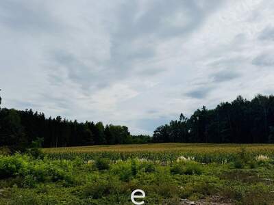 Gewerbeobjekt kaufen in 4642 Sattledt (Bild 3)