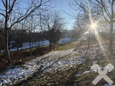 Gewerbeobjekt kaufen in 8380 Mitterhenndorf