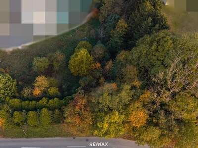 Grundstück kaufen in 4641 Steinhaus