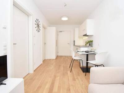 Wohnung provisionsfrei mieten in 6971 Hard