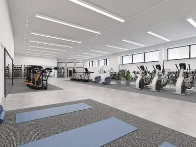 Gewerbeobjekt mieten in 1220 Wien