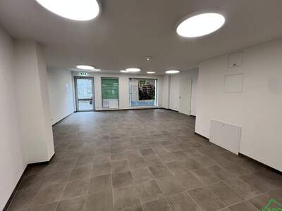 Gewerbeobjekt mieten in 1170 Wien (Bild 3)