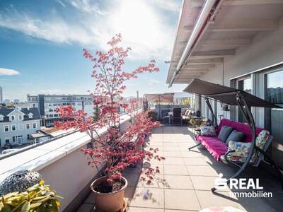 Terrassenwohnung kaufen in 6900 Bregenz (Bild 1)